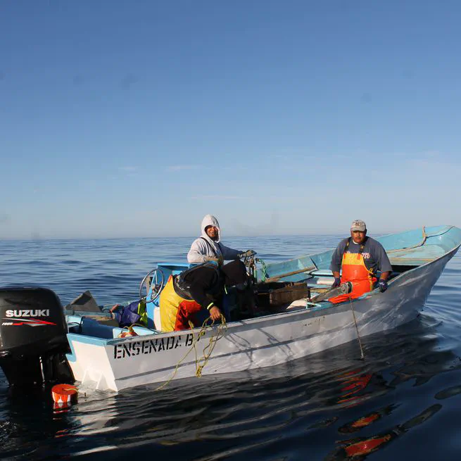 Climate variability and labor allocation: Evidence from Mexican small-scale fisheries